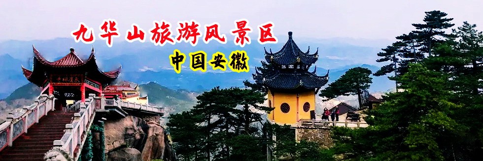 插屄视频在线看