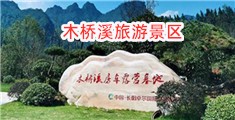肉屄视频在线看