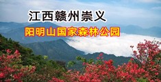 操到屁股满是淫水视频